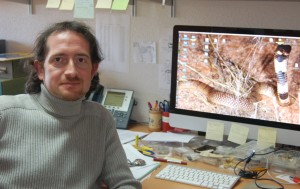 Foto Israel Venenosas 300x189 Ponencia de Israel M. Sánchez Martín Caro en la I Jornada de Herpetos Venenosos   Evolución de Reptilia y aparición del veneno.