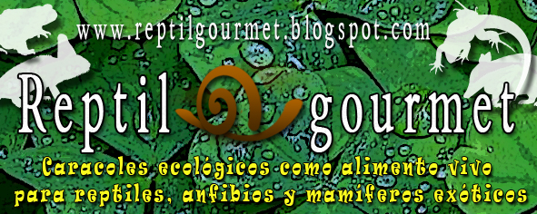 banner expoterraria Descuento para los socios en Reptil Gourmet