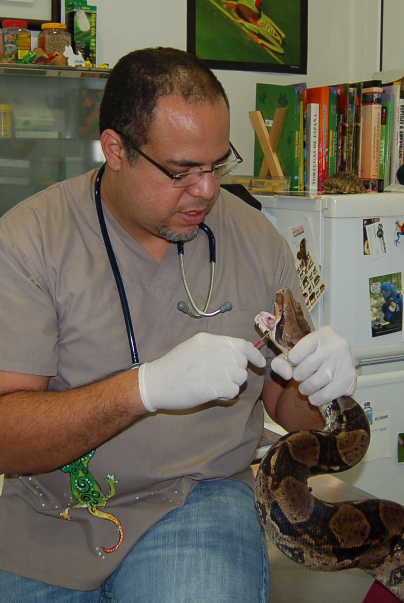 Edgar con sepiente Ponencias de Edgar Wefer Borges   I Seminario Práctico Medicina Veterinaria de Reptiles