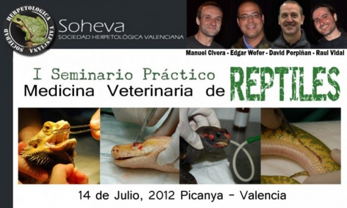 banner medicina veterinaria