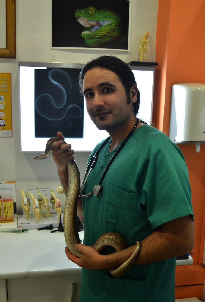 raul vidal alcaraz Ponencias de Raúl Vidal Alcaraz   I Seminario Práctico Medicina Veterinaria de Reptiles