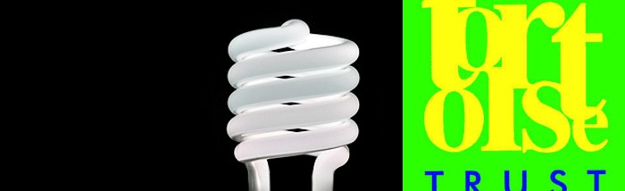 tck-energy-efficient-light-blub-feature-Michael-W-May