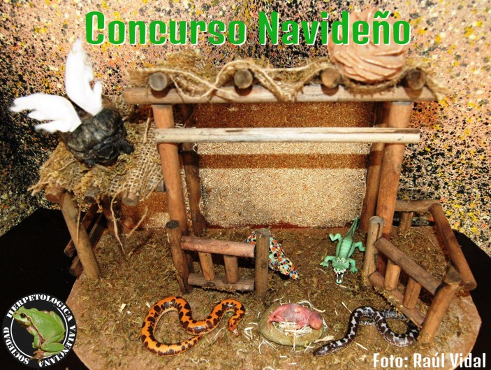 concurso navidad 703x529 Concurso Fotográfico Navideño