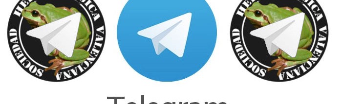 destacada_telegram