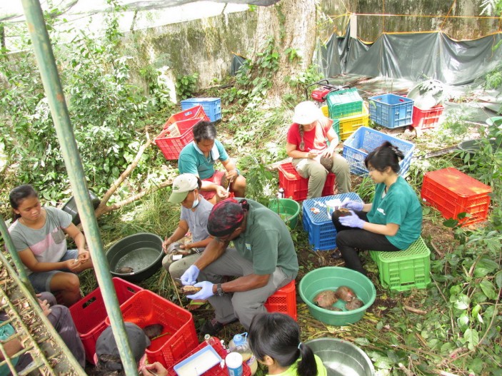 Los equipos veterinarios han recibido la ayuda de la población local 703x527 Avances en Palawan