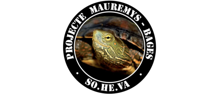 mauremys bages