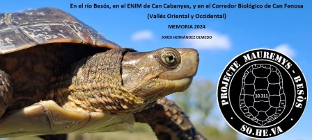 proyecto mauremys besos