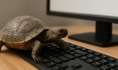 TORTUGA TECLADO